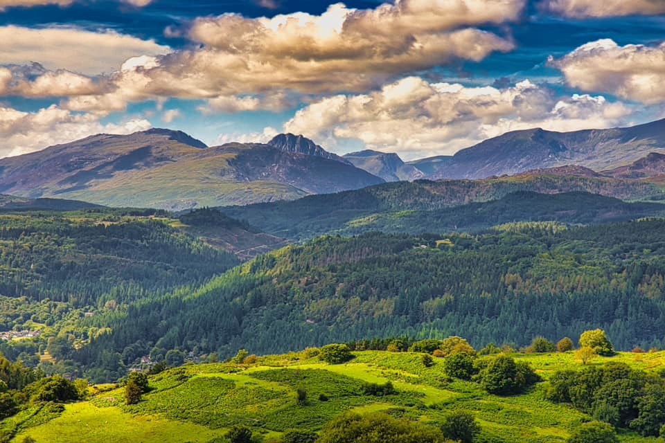 Delwyn Ellis: Overlooking Betws y Coed 