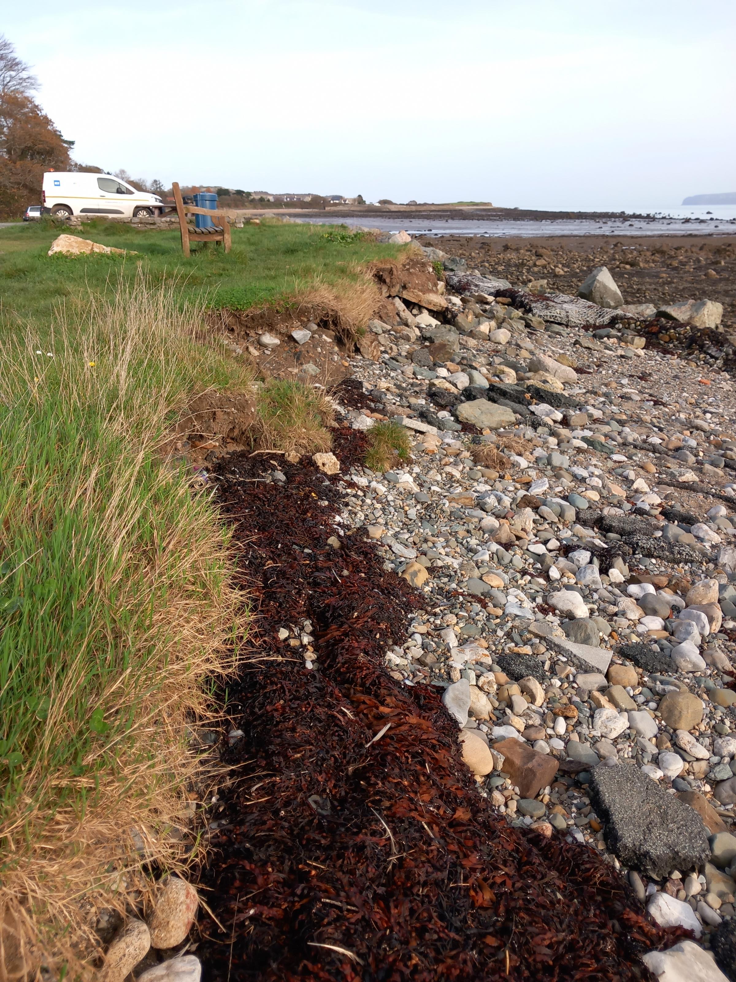 Coastal erosion below the Lleiniog carpark on Anglesey - November, 2024. (Image Dale Spridgeon)