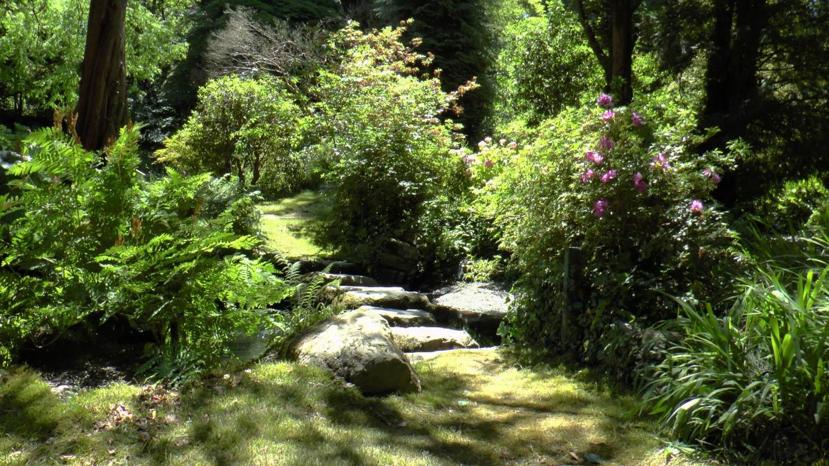 Bodnant Garden Host Colin Firth And Julie Walters For Filming Of