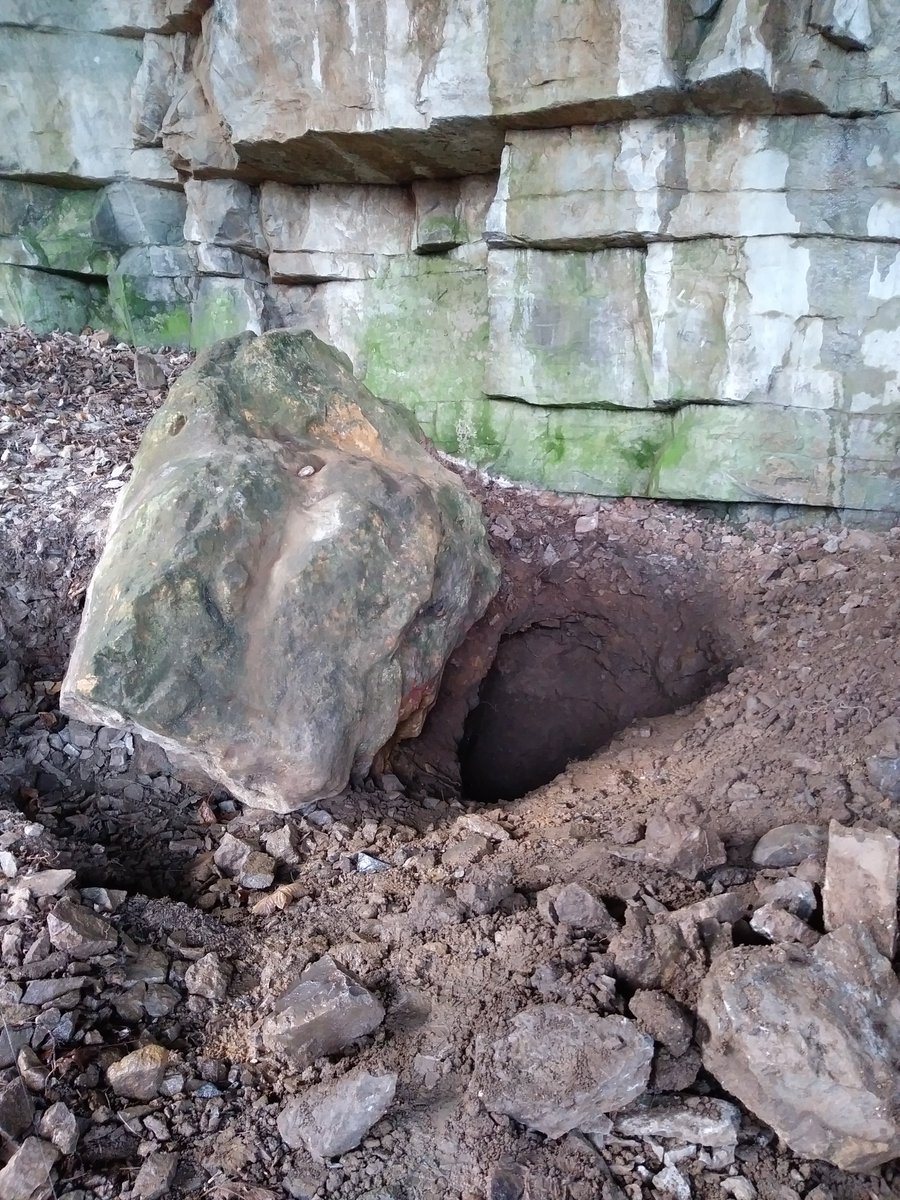 Digging Carried Out Without Consent On A Llandudno S Great Orme North Wales Pioneer
